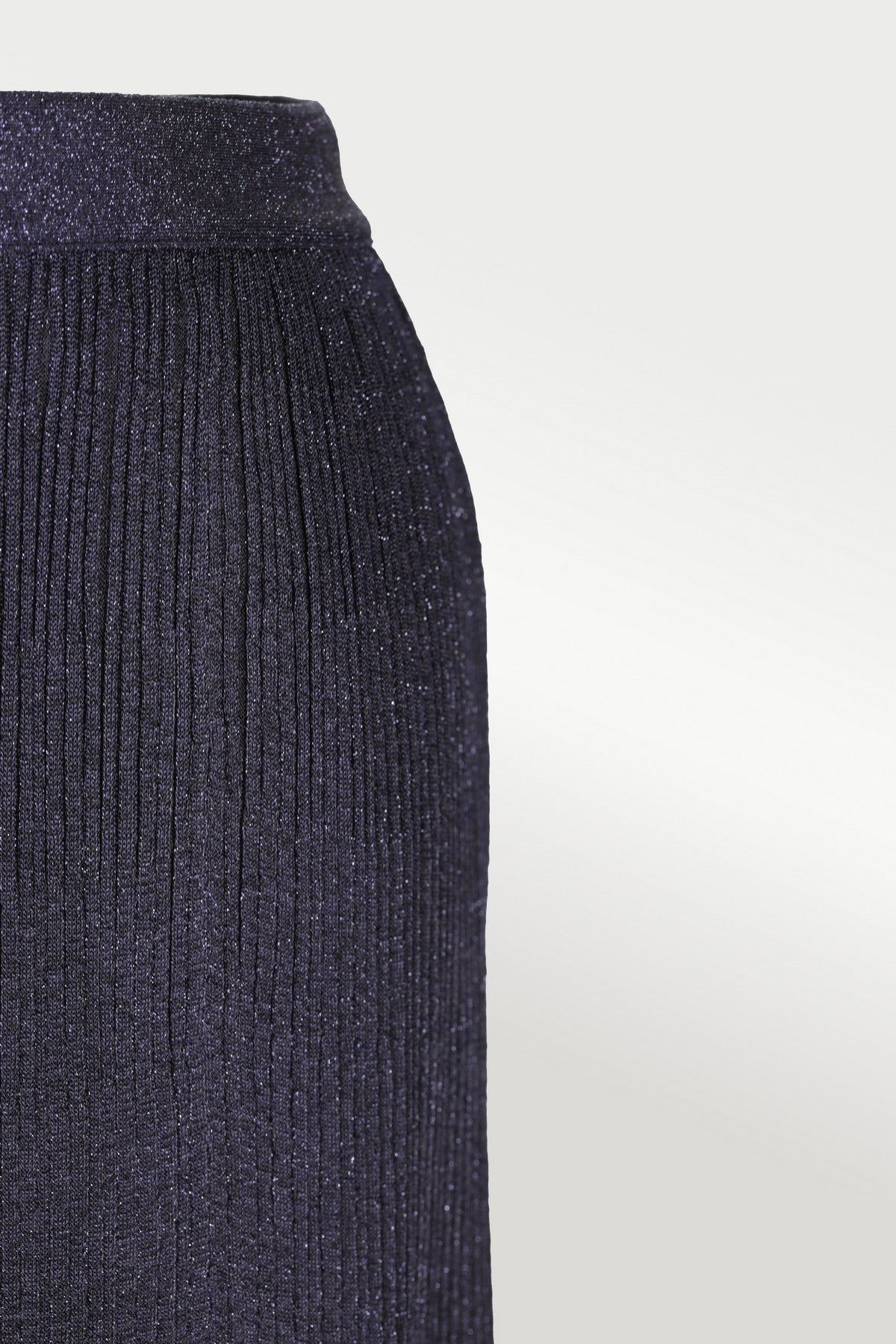 Navy Blue Pleated Skirt with Sequins