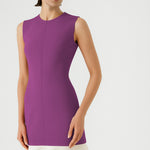Purple Ruffled Sleeveless Mini Dress