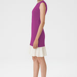 Purple Ruffled Sleeveless Mini Dress