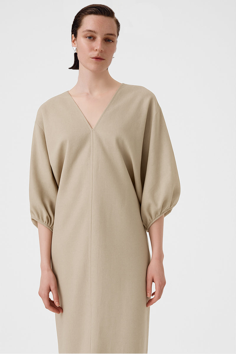 Stone Balloon Sleeve V-Neck Dress